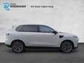 Leapmotor B10 Leapmotor B10 67,1 kWh Design Pro Max Grau - thumbnail 3