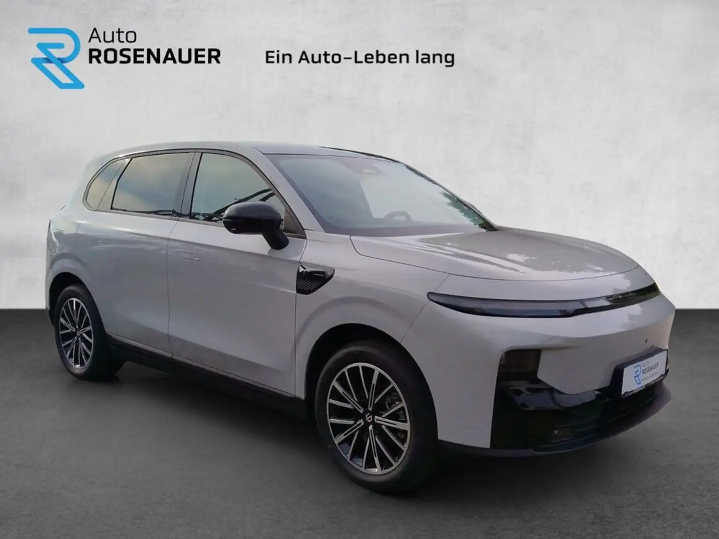 Leapmotor B10 Leapmotor B10 67,1 kWh Design Pro Max Grau - 2