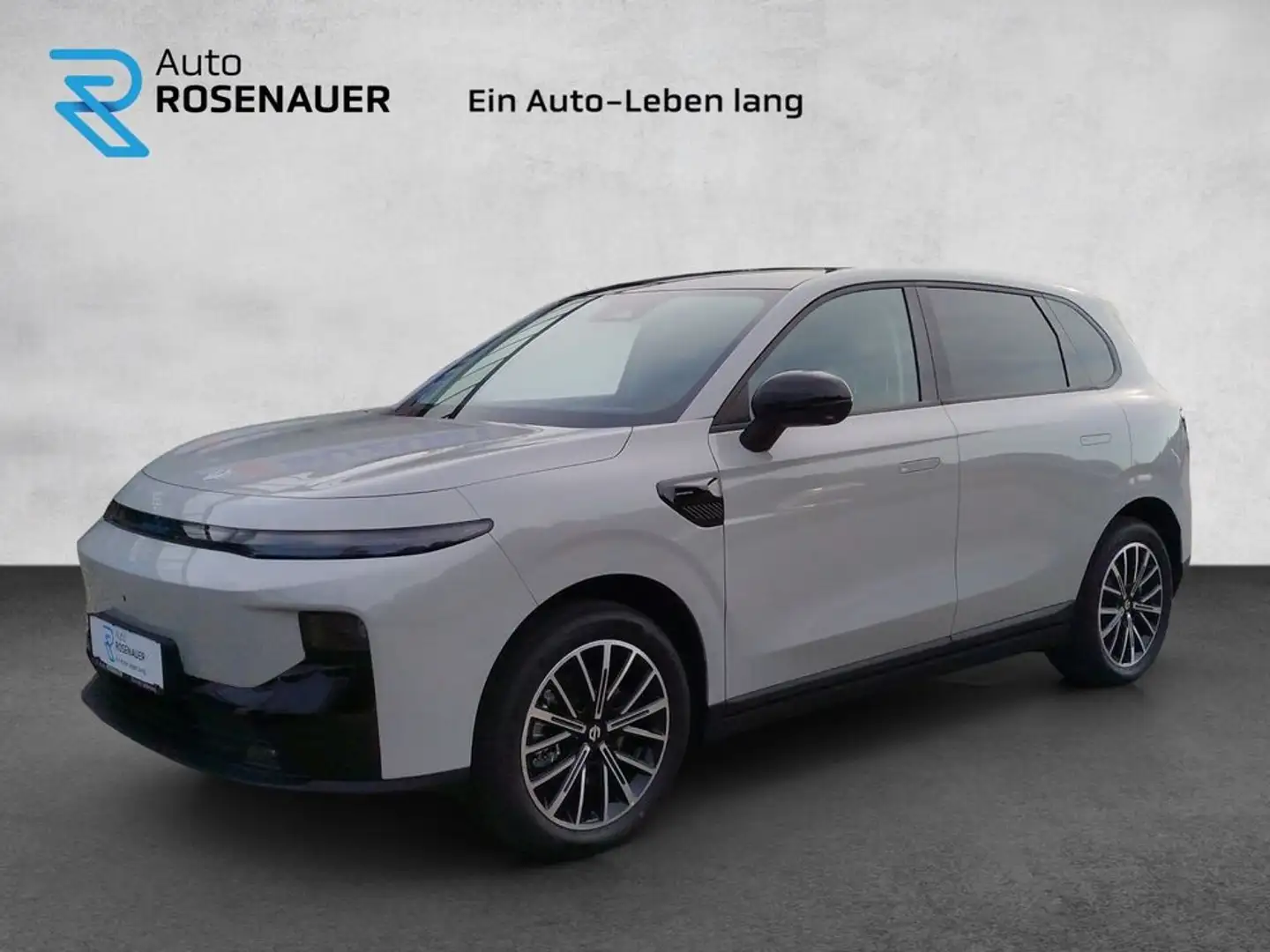 Leapmotor B10 Leapmotor B10 67,1 kWh Design Pro Max Grau - 1