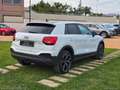 Audi Q2 30 TDI Business Advanced Bianco - thumbnail 6