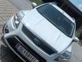 Ford Kuga Kuga 2,0 Titanium 4x4 TDCI DPF Titanium Weiß - thumbnail 4