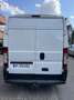 Peugeot Boxer FG330 L2H2 2.2 HDi 100CV PACK CD CLIM - thumbnail 5