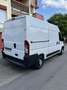 Peugeot Boxer FG330 L2H2 2.2 HDi 100CV PACK CD CLIM - thumbnail 4