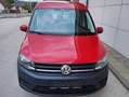 Volkswagen Caddy 2,0 TDI,5Sitzer, Blue Motion, Tempomat Rot - thumbnail 3