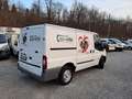 Ford transit 2.4 tdci furgone tetto passo passo corto - thumbnail 4