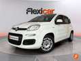 Fiat Panda 1.2 Easy Blanco - thumbnail 17