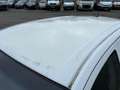 Chevrolet Aveo 1.3D LT 5 Deurs | Sportvelgen | Airco | Cruise !! Blanco - thumbnail 19