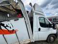 Fiat Ducato DUCATO 2.3 MJT 130 - thumbnail 19