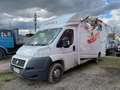 Fiat Ducato DUCATO 2.3 MJT 130 - thumbnail 1