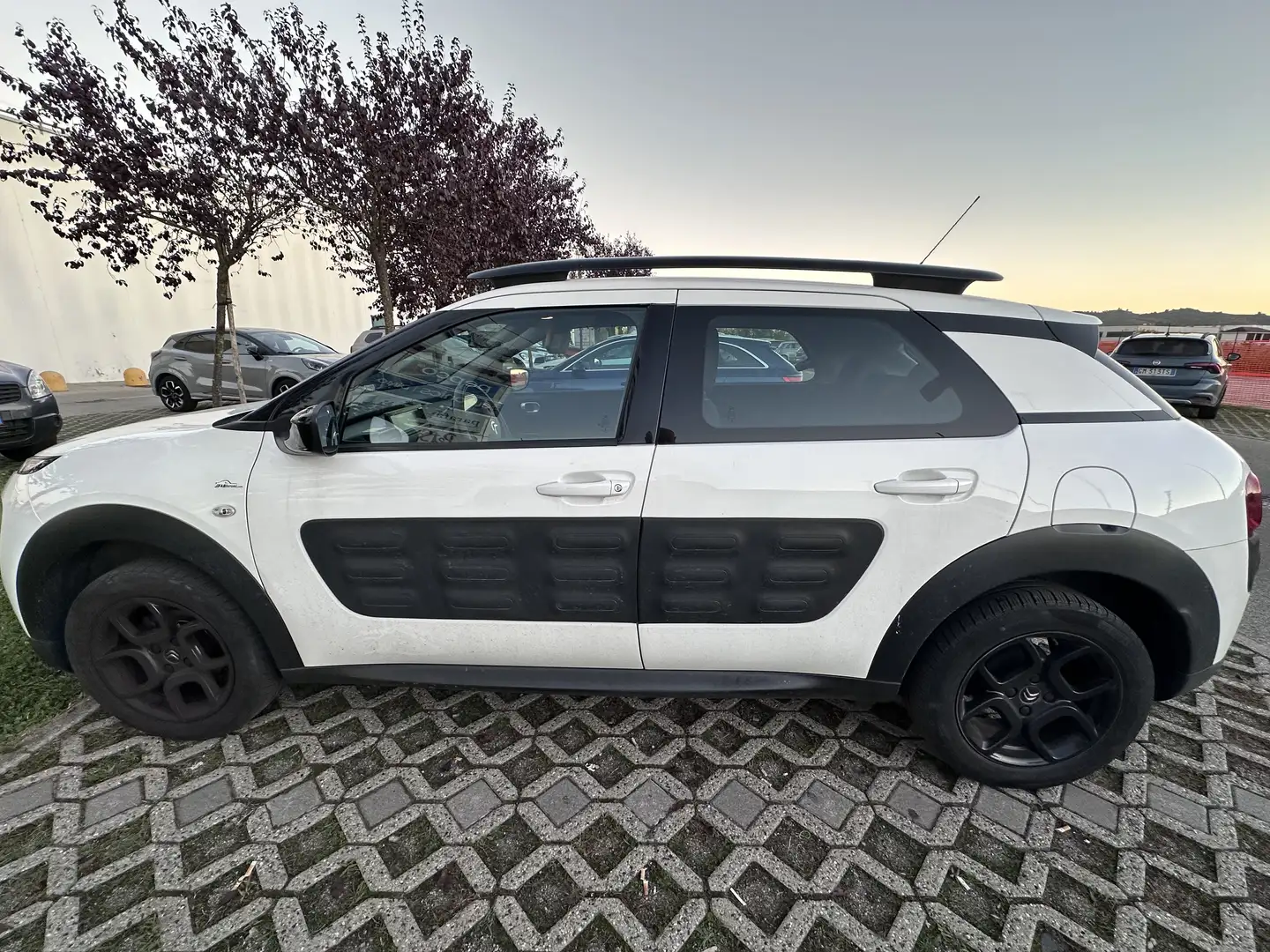 Citroen C4 Cactus shine - 1