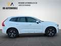 Volvo XC60 AWD Inscription Hybrid 360°CAM PANO CAR.P Weiß - thumbnail 7