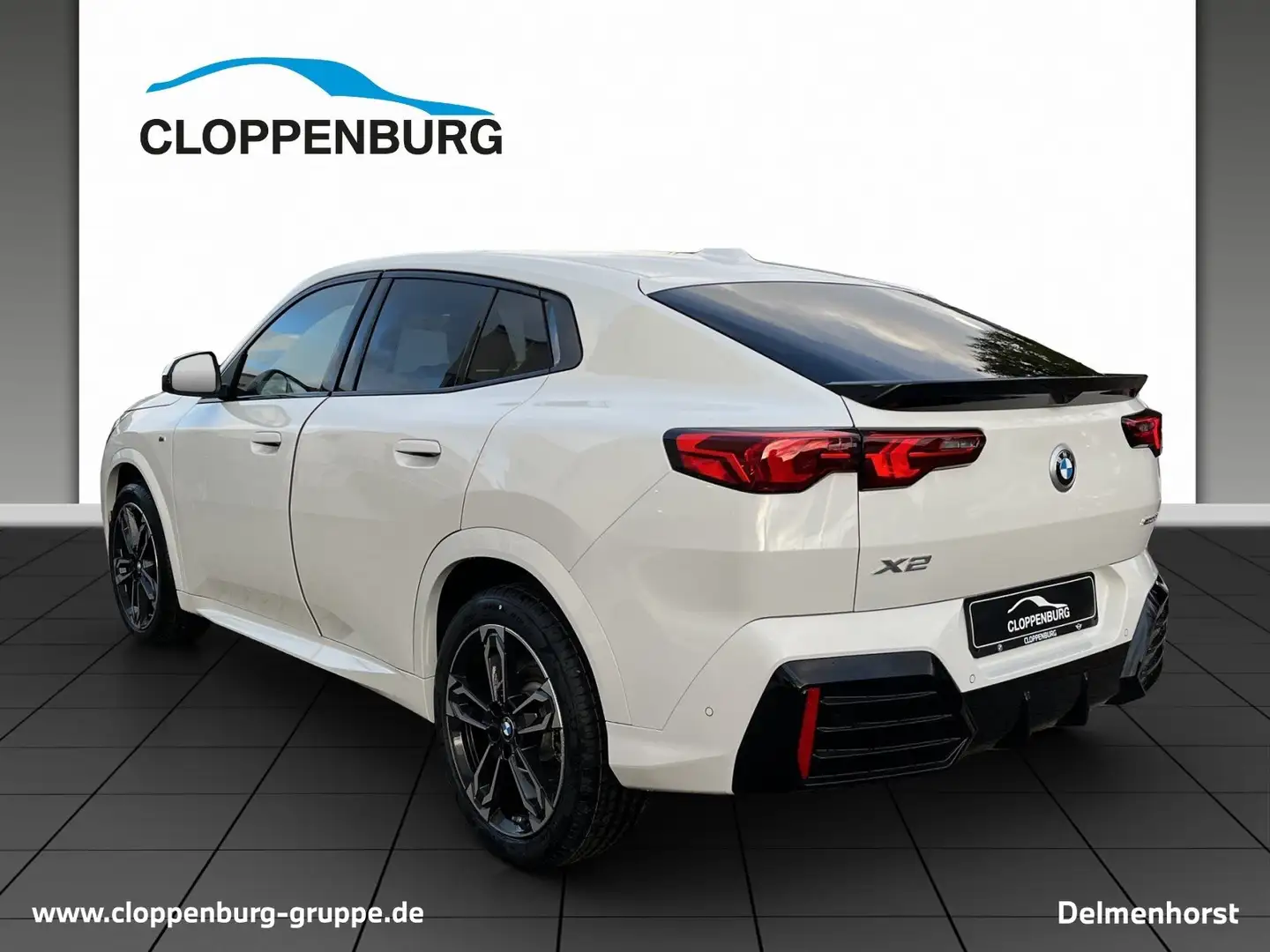 BMW X2 sDrive20i U10 B38 M Sportpaket Head-Up DAB Wit - 2