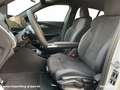 BMW X2 sDrive20i U10 B38 M Sportpaket Head-Up DAB Wit - thumbnail 11
