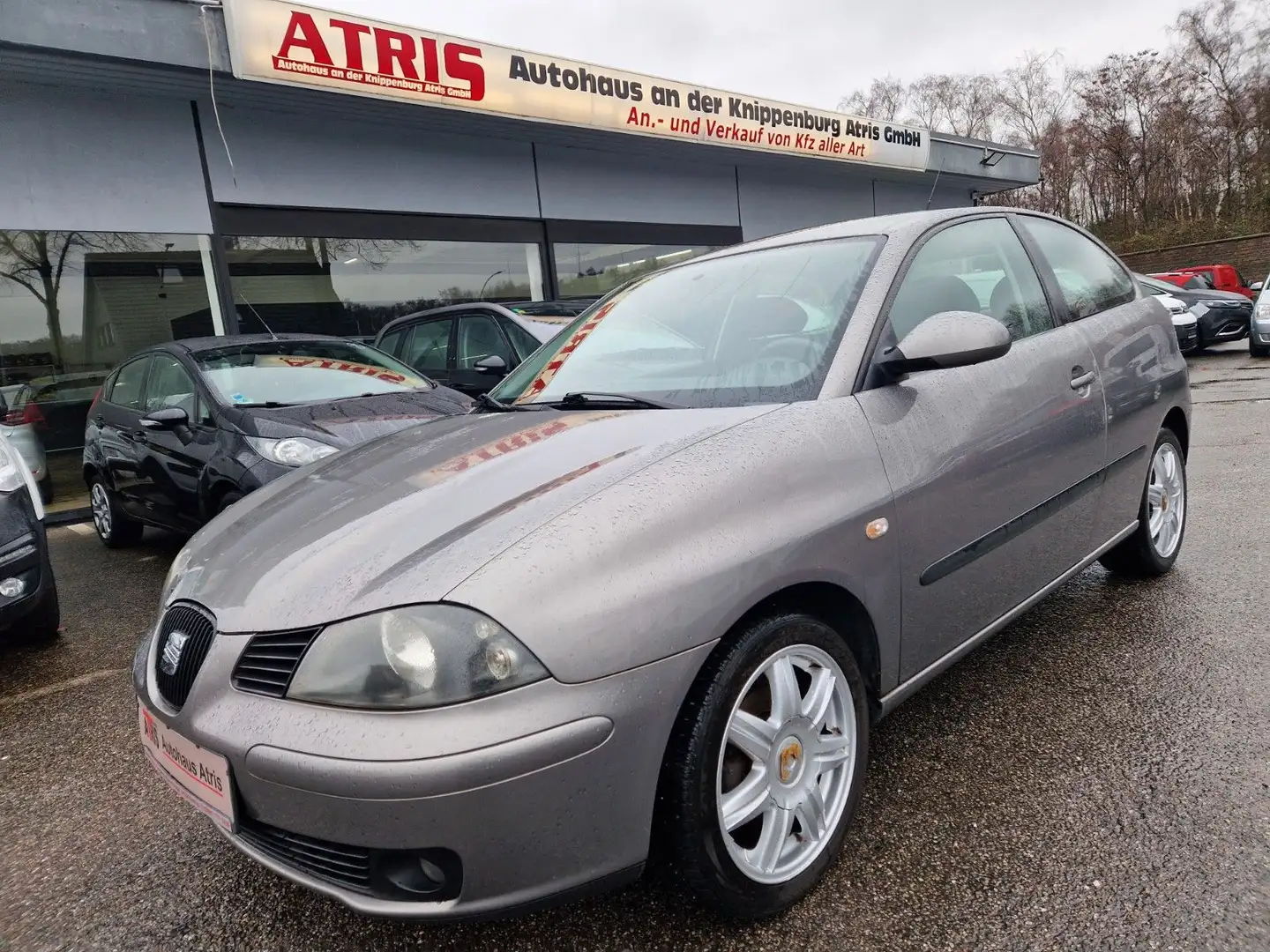 SEAT Ibiza Sport Edition Grau - 2