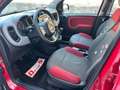 Fiat Panda 1.2 Pop 69cv E6, NEOPATENTATI OK! Rosso - thumbnail 2