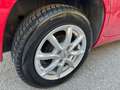 Fiat Panda 1.2 Pop 69cv E6, NEOPATENTATI OK! Rosso - thumbnail 15