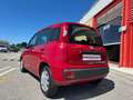 Fiat Panda 1.2 Pop 69cv E6, NEOPATENTATI OK! Rosso - thumbnail 5