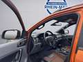 Ford Ranger Wildtrak RAPTOR UMBAU HARDTOP DOKA 4x4 Orange - thumbnail 28