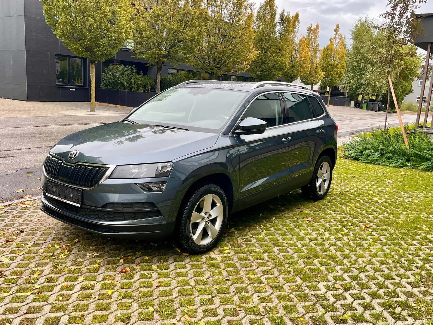 Skoda Karoq Ambition Benziener Automatik DSG Grau - 2