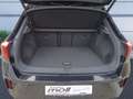 Volkswagen T-Roc R, DCC, Akrapovic, Discover Pro Schwarz - thumbnail 8