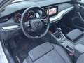 Skoda Octavia Ambition TDI Weiß - thumbnail 8