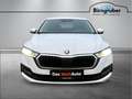 Skoda Octavia Ambition TDI Weiß - thumbnail 2