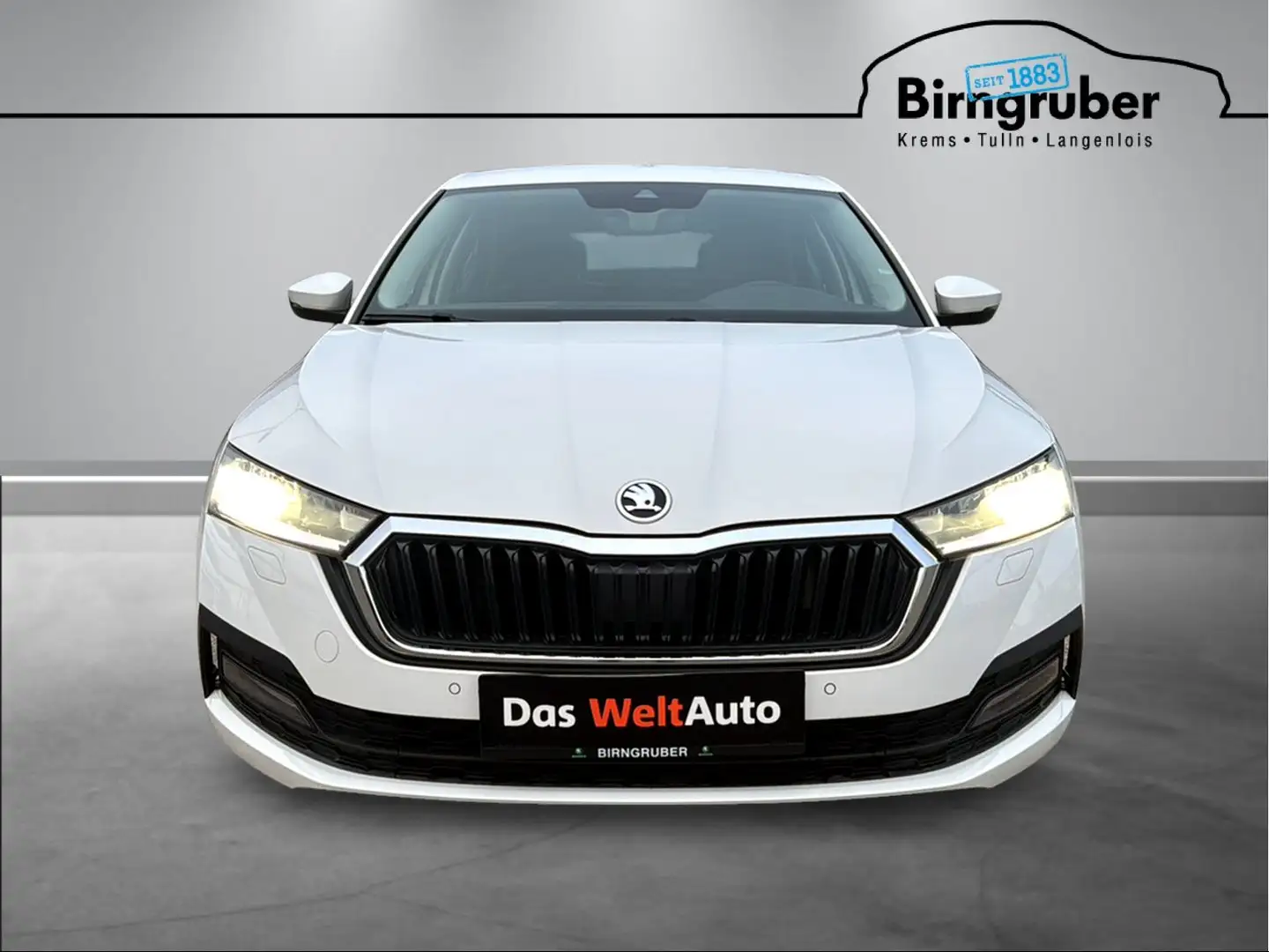 Skoda Octavia Ambition TDI Weiß - 2