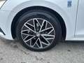 Skoda Octavia Ambition TDI Weiß - thumbnail 6