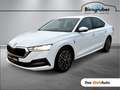 Skoda Octavia Ambition TDI Weiß - thumbnail 1