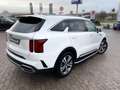Kia Sorento 2.2 CRDi AWD  **NEUES MODELL** Weiß - thumbnail 1