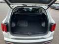 Kia Sorento 2.2 CRDi AWD  **NEUES MODELL** Weiß - thumbnail 3