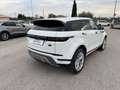 Land Rover Range Rover Evoque Range Rover Evoque 2.0d S awd 150cv auto Bianco - thumbnail 4