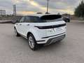 Land Rover Range Rover Evoque Range Rover Evoque 2.0d S awd 150cv auto Bianco - thumbnail 3