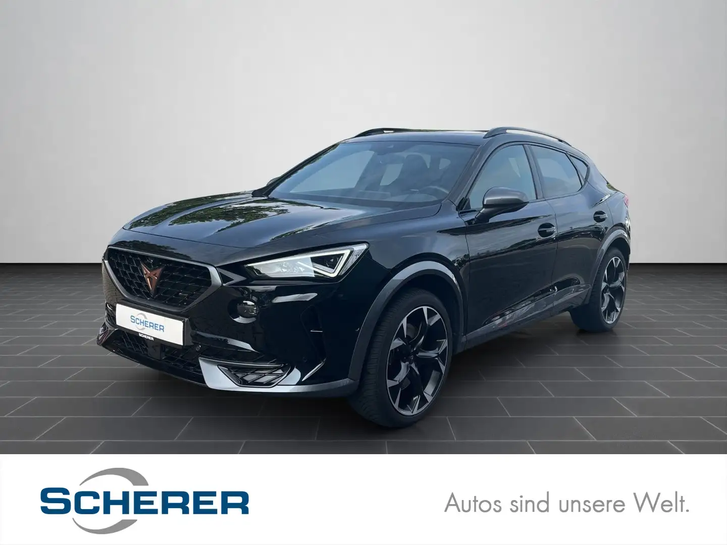 CUPRA Formentor VZ 2.0 TSI 4Drive PANO LEDER TOP VIEW Negro - 1