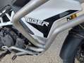 Triumph Tiger 900 Rallye pro Vert - thumbnail 9