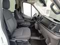 Ford Transit FT 330 EcoBlue Hybrid L2 Kombi Trend 130 Blanc - thumbnail 16