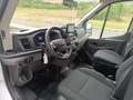 Ford Transit FT 330 EcoBlue Hybrid L2 Kombi Trend 130 Blanc - thumbnail 12