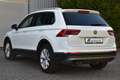 Volkswagen Tiguan Highline/LED/AHK/Digital Cockpit/SHZ Weiß - thumbnail 4