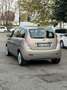 Lancia Ypsilon 1.3 mjt 16v Oro Giallo - thumbnail 4