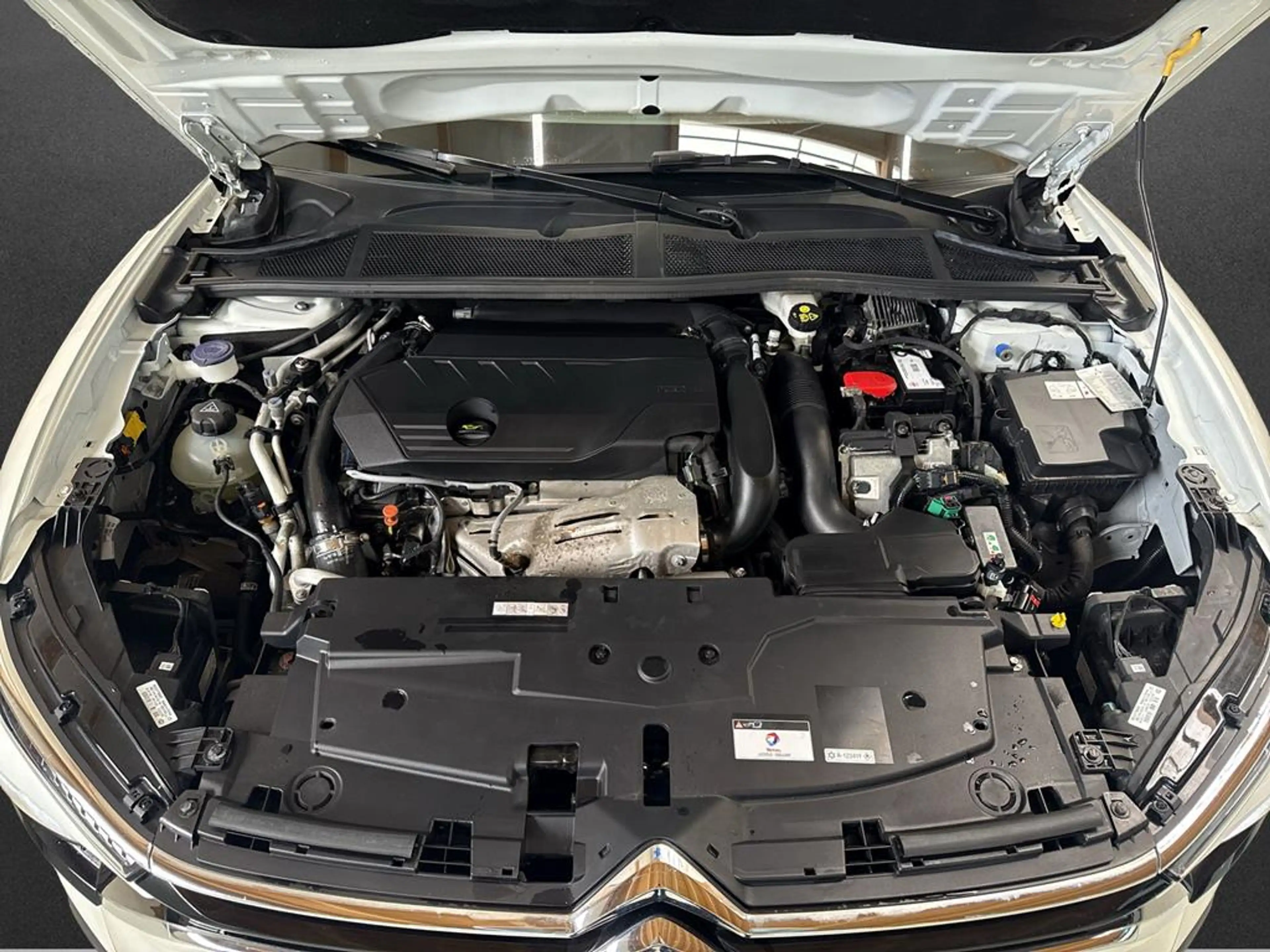 Citroen C5 X Shine Pack Hybrid — photo 8