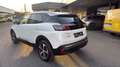 Peugeot 3008 3008 GT BHDI130 EAT8 Weiß - thumbnail 2