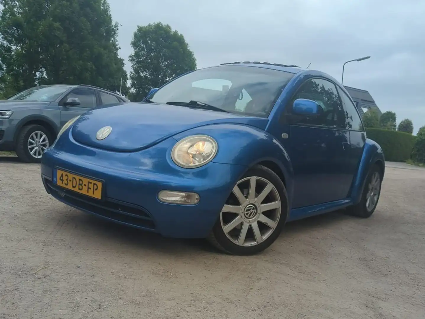 Volkswagen New Beetle New Beetle Bleu - 1