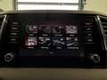 Skoda Karoq Style LE TDI DSG Grau - thumbnail 14