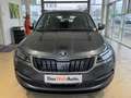 Skoda Karoq Style LE TDI DSG Grau - thumbnail 5