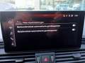 Audi Q5 Q5 45 TFSI QUATTRO S-TRONIC*LEDER*SPORTZETELS*CAM Noir - thumbnail 24