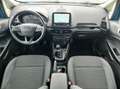 Ford EcoSport 1.0 EcoBoost 125cv Titanium S&S - PROMO Bleu - thumbnail 13