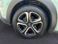 Citroen C3 PureTech 83 S&S Shine Grün - thumbnail 13