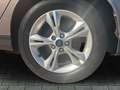 Ford Focus Zahnriemen neu Tempomat Klima LM-Felgen Marrón - thumbnail 11