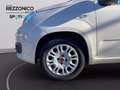 Fiat Panda 1.2 Easy 69cv - OK NEOPATENTATI Beige - thumbnail 12