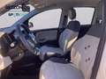 Fiat Panda 1.2 Easy 69cv - OK NEOPATENTATI Beige - thumbnail 15